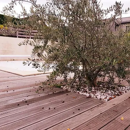 Vue Imprenable Avec Terrasse De 100 M2 Jacob-Bellecombette