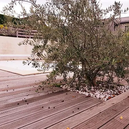 Vue Imprenable Avec Terrasse De 100 M2 Jacob-Bellecombette